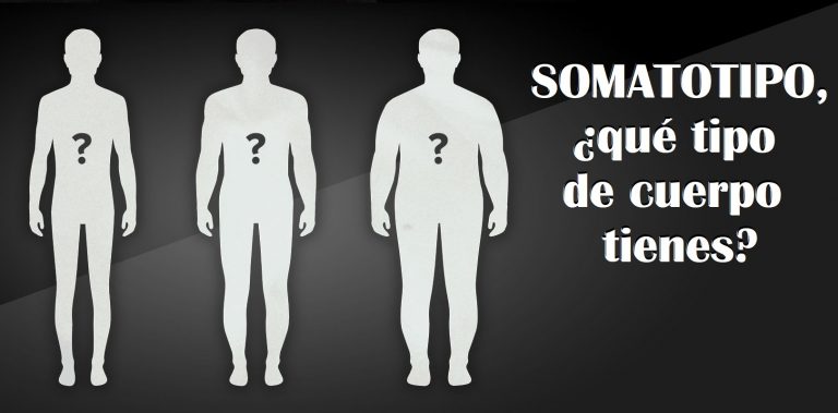 Somatotipo, ¿qué Tipo De Cuerpo Tienes? ¿Ecto, Meso O Endomorfo?