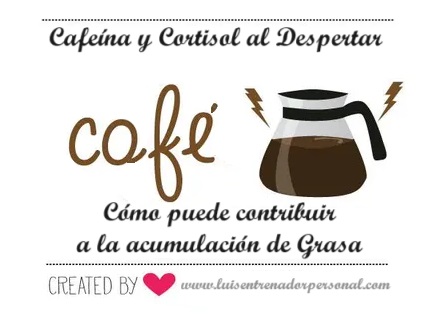 Cafeína y Cortisol al Despertar