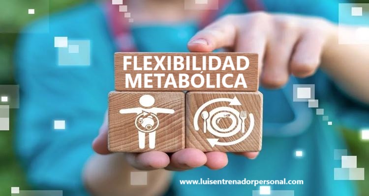 Flexibilidad Metabólica