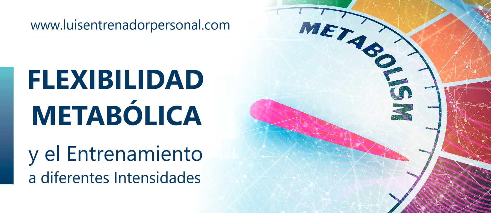 Flexibilidad Metabólica