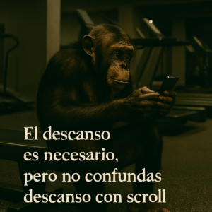 El gimnasio no es un Zoo