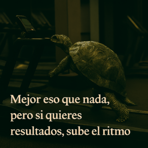 El gimnasio no es un Zoo