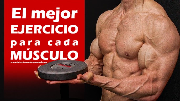 El mejor Ejercicio para cada Músculo