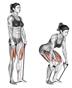 Entrenamiento completo con Gomas Elásticas