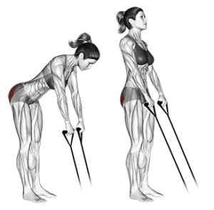 Entrenamiento completo con Gomas Elásticas