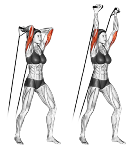 Entrenamiento completo con Gomas Elásticas