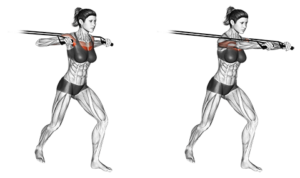 Entrenamiento completo con Gomas Elásticas