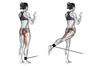 Entrenamiento completo con Gomas Elásticas