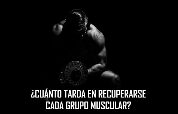 ¿Cuánto tarda en recuperarse cada grupo muscular?
