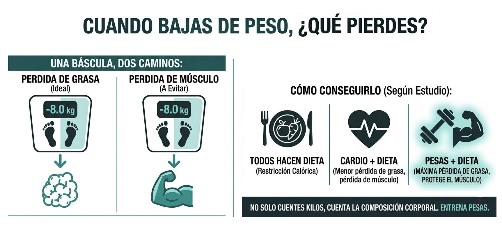 Cuando bajas de Peso, ¿qué pierdes?
